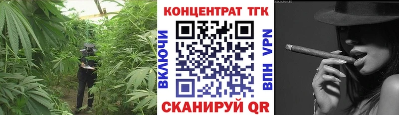 закладки  Заволжье  ТГК концентрат 